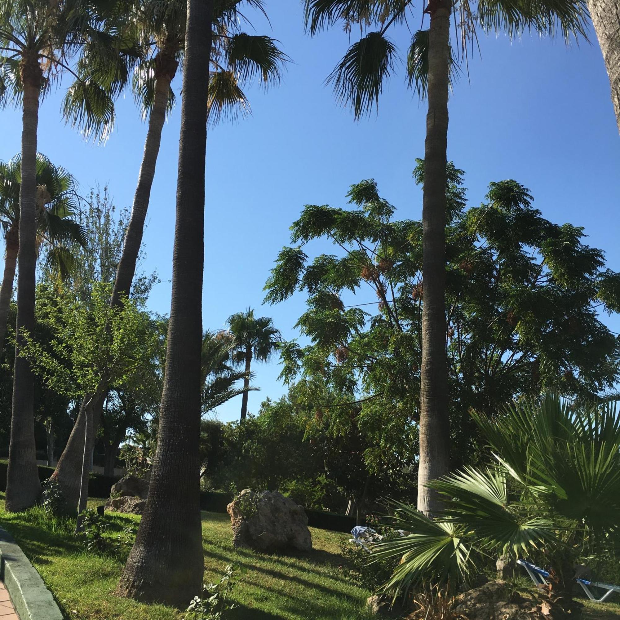 Hotel Club Cala Romani Calas de Mallorca Eksteriør billede