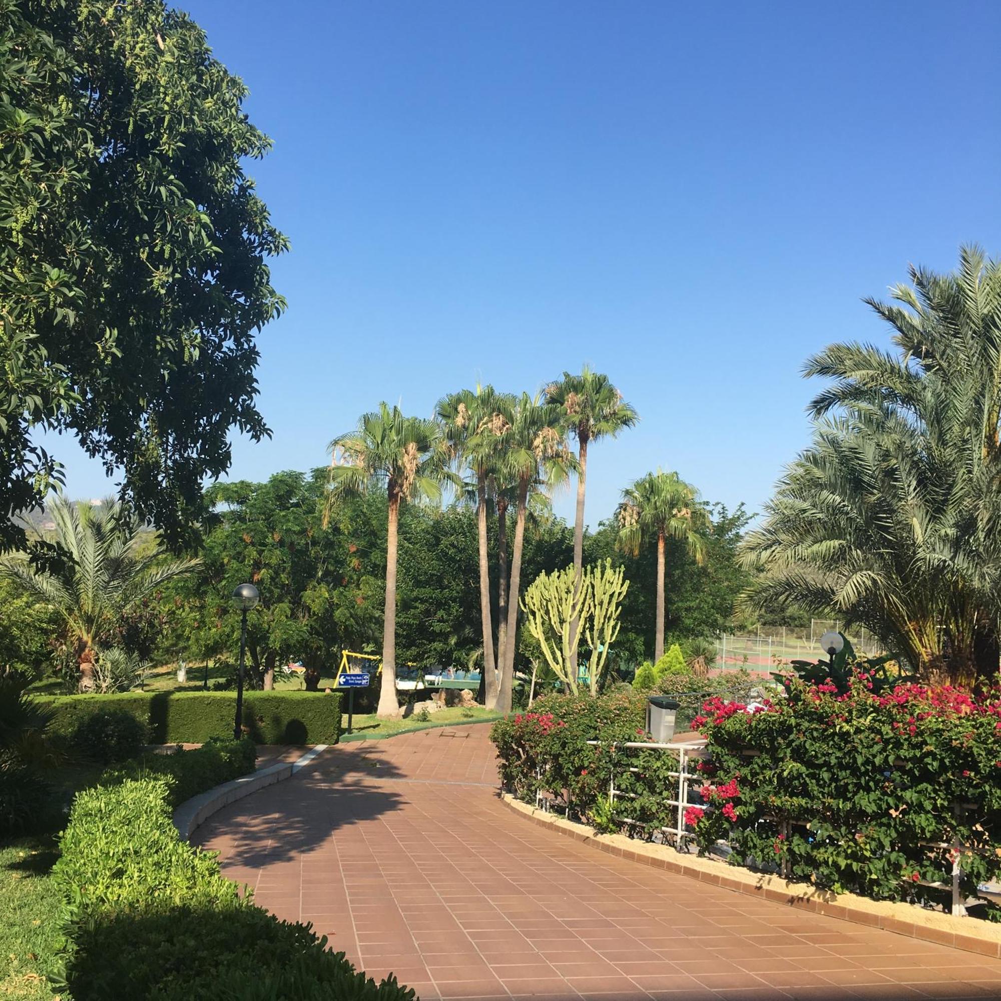 Hotel Club Cala Romani Calas de Mallorca Eksteriør billede